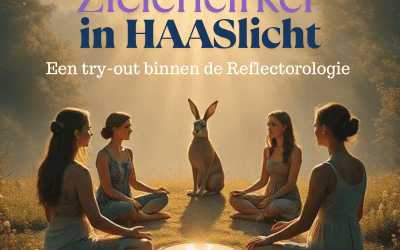 Zielencirkel in HAASlicht